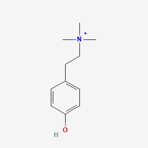 2-(4-hydroxyphenyl)-N,N,N-trimethylethanaminium