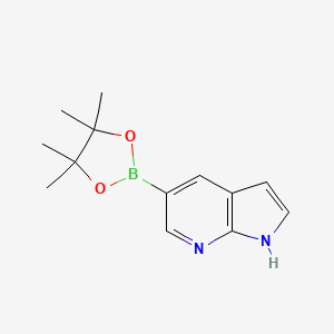 7-Azaindole-5-boronic acid pinacol ester, 97%