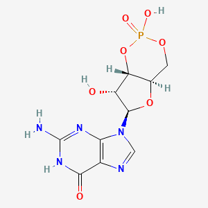 cGMP