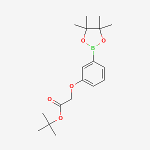 Tert-butyl 2-[3-(4,4,5,5-tetramethyl-1,3,2-dioxaborolan-2-yl)phenoxy]acetate