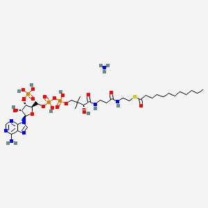 lauroylCoenzyMeA(aMMoniuMsalt)