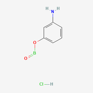3-Aminophenylboronic acid hydrochloride, 98%