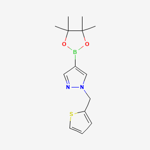 1-[(2-Thienyl)methyl]-1H-pyrazole-4-boronic acid pinacol ester, 97%