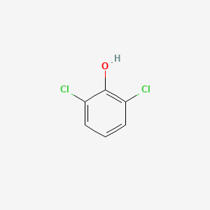 2,6-Dichlorophenol, 99%