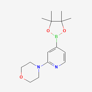 2-Morpholinopyridine-4-boronic acid pinacol ester, 97%