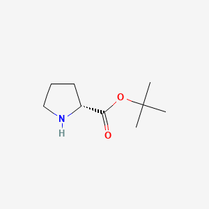 (R)-tert-Butyl pyrrolidine-2-carboxylate