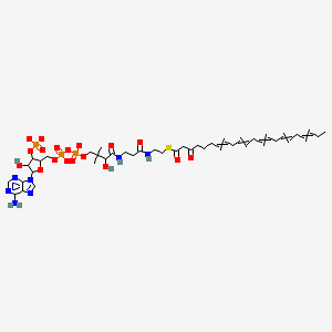 Alcohol Dehydrogenase from Saccharomyces cerevisiae, ≥300 units/mg protein