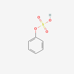 Phenyl Sulfate