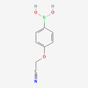 4-(Cyanomethoxy)phenylboronic acid, 97%