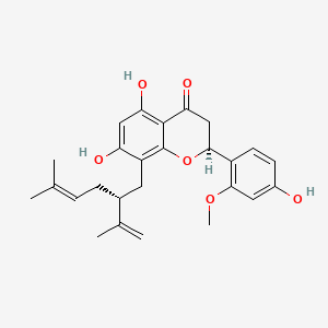Leachianone A