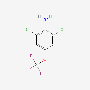 2,6-Dichloro-4-(trifluoromethoxy)aniline, 96%